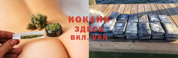 спайс Алексин