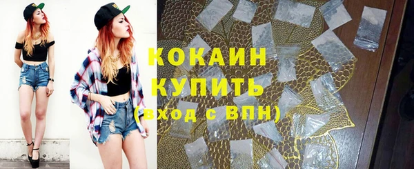 спайс Алексин