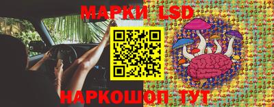 mdpv Тара