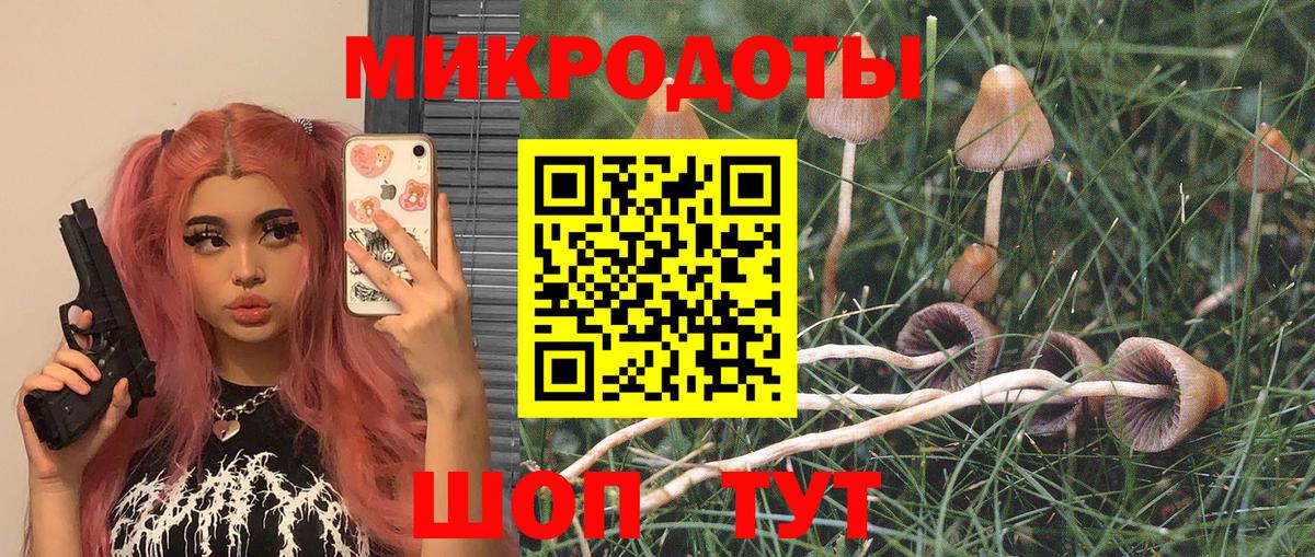 Галлюциногенные грибы Psilocybine cubensis  Псилоцибиновые грибы MAGIC MUSHROOMS  Павлово  Вход с VPN 