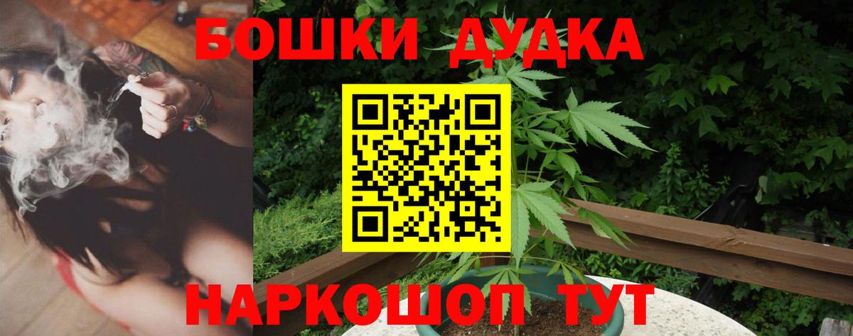 Бошки Шишки Amnesia Павлово